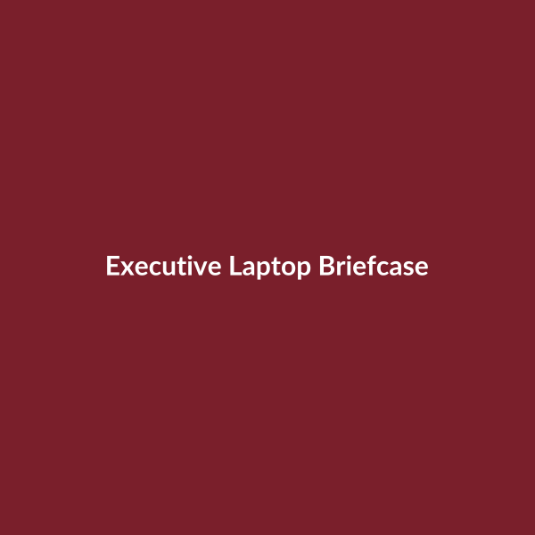 Executive Laptop Briefcase